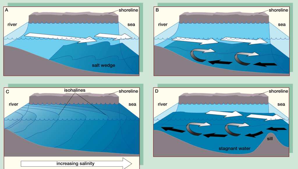 Aquatic ecosystem - (Part - 3) (Practice) - UPSC PDF Download