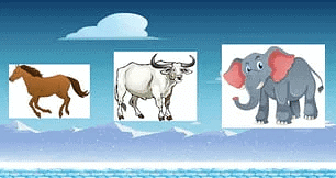 Who Is Heavier - 1 Class 3 Worksheet Maths