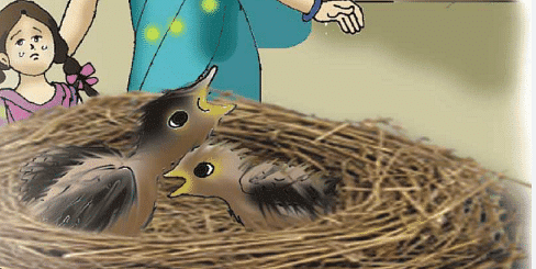 Nina and the Baby Sparrows - 2 Class 3 Worksheet English Unit 2