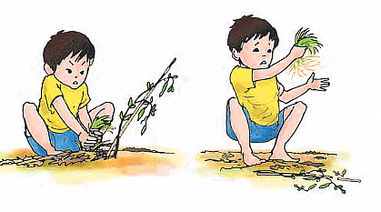 Abdul In The Garden - 1 Class 4 Worksheet EVS Chapter 19