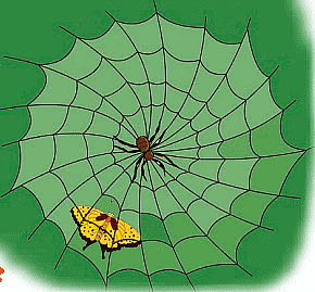 The Yellow Butterfly - 2 Class 3 Worksheet English Unit 5