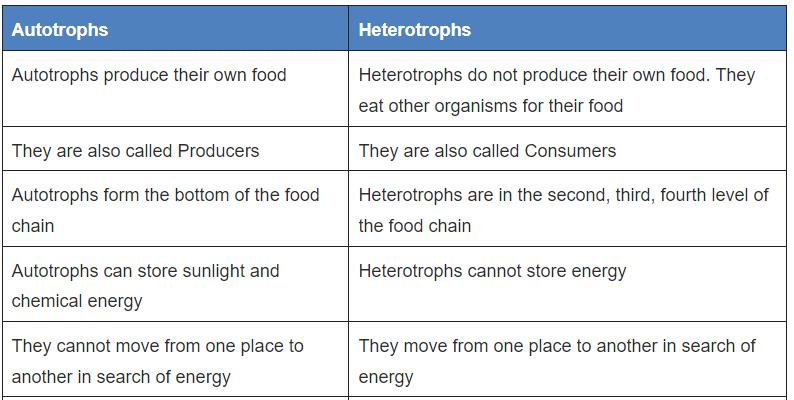 NCERT Exemplar: Life Processes | Science Class 10