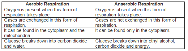 NCERT Exemplar: Life Processes | Science Class 10
