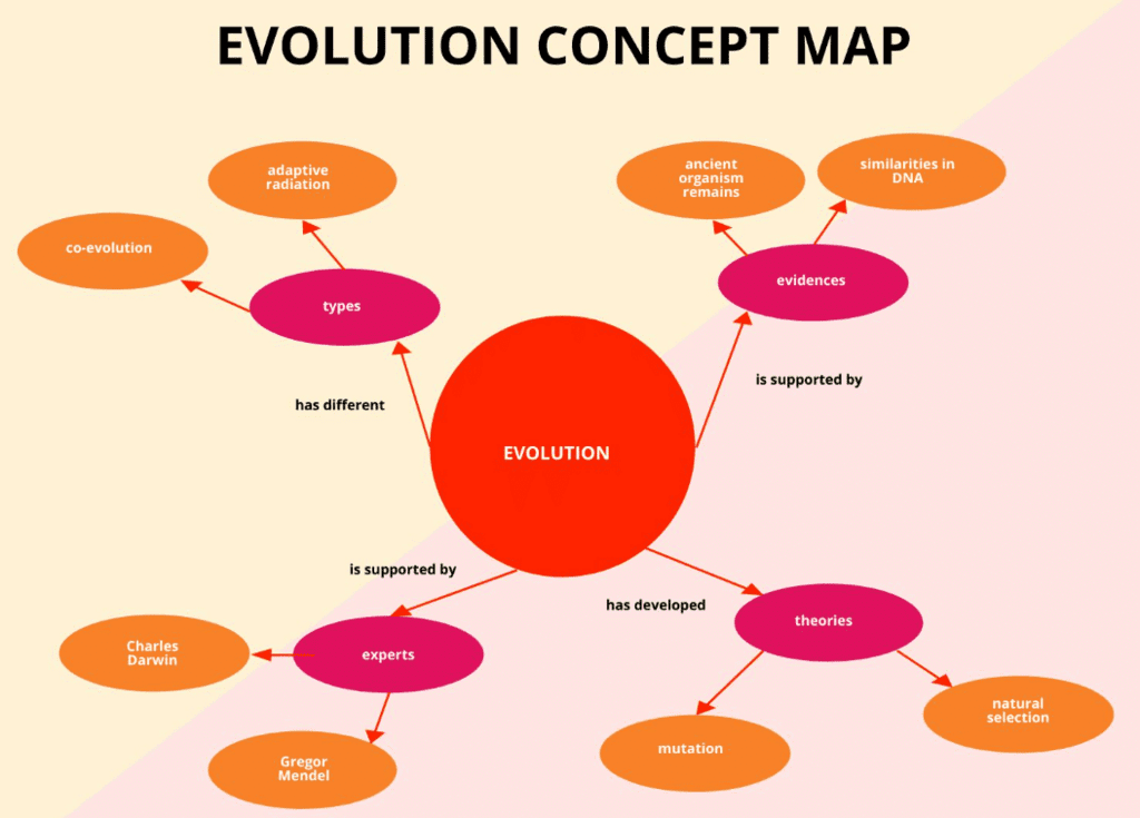 Concept of Lifting of Corporate Veil - Introduction, Company Law | Company Law - B Com