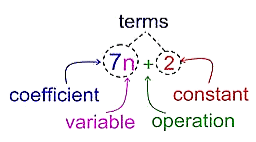 Points to Remember: Algebraic Expressions & Identities | Mathematics (Maths) Class 8