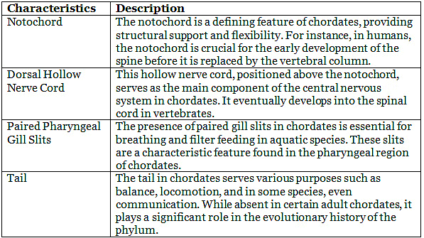 Phylum Chordata, Echinodermata & Hemichordata | Biology for JAMB