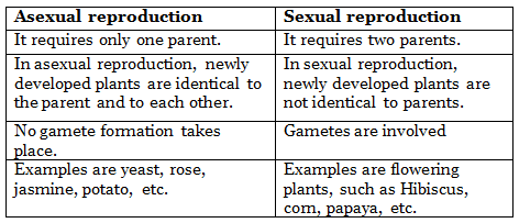 NCERT Solutions for Class 7 Science - Reproduction in Plants