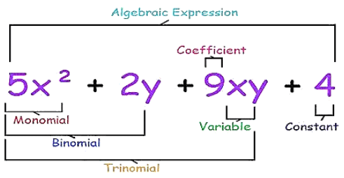 Points to Remember: Algebraic Expressions & Identities | Mathematics (Maths) Class 8