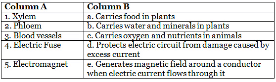 Electric Current and Its Effects Class 7 Worksheet Science Chapter 10