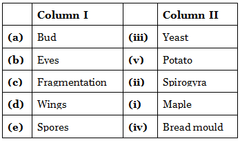 NCERT Solutions for Class 7 Science - Reproduction in Plants