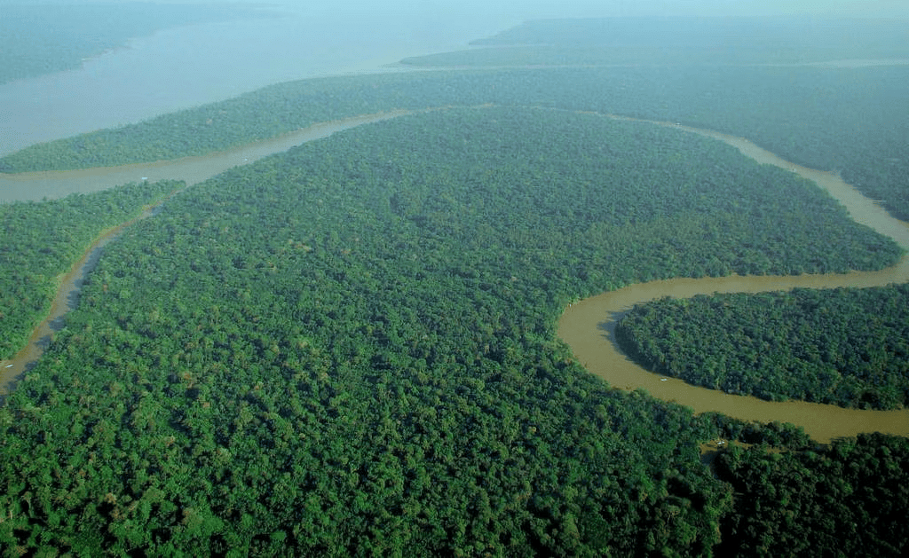 Tropical Rain Forests