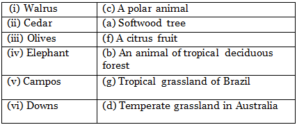 NCERT Solutions for Class 9 Geography Chapter 5 - Natural Vegetation and Wildlife