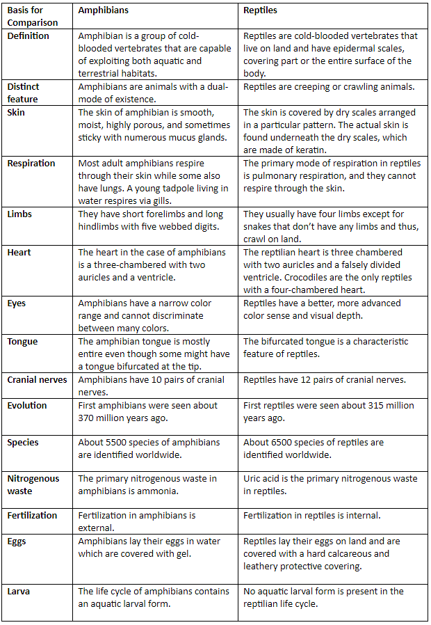 Class - Amphibia, Reptilia & Mammalia | Biology for JAMB