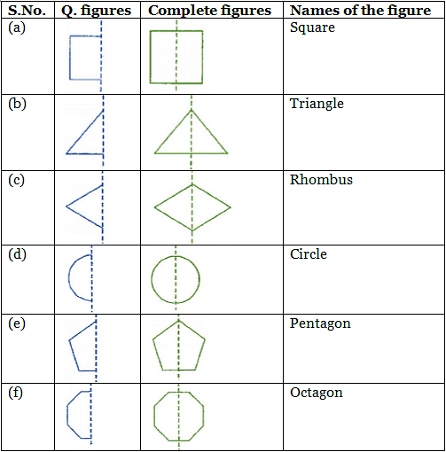 NCERT Solutions for Class 7 Maths - Symmetry- 1