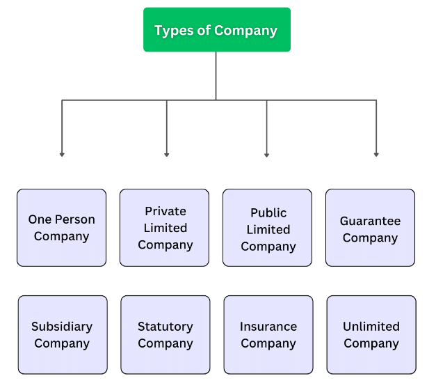 Types of Companies Including One Person Company (Part - 1)- Introduction, Company Law | Company Law - B Com