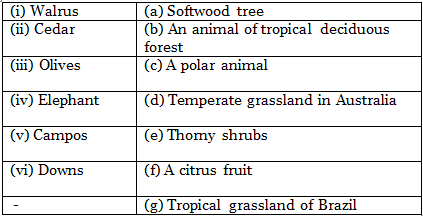 NCERT Solutions for Class 9 Geography Chapter 5 - Natural Vegetation and Wildlife