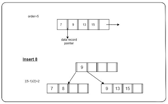 B + Tree | Database Management System (DBMS) - Computer Science Engineering (CSE)