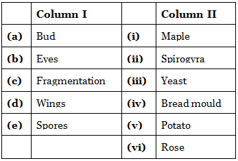NCERT Solutions for Class 7 Science - Reproduction in Plants