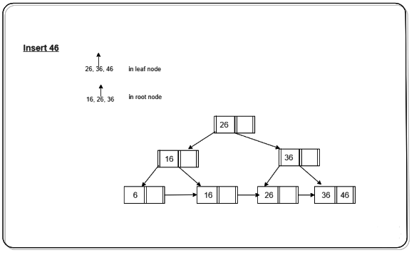 B + Tree | Database Management System (DBMS) - Computer Science Engineering (CSE)