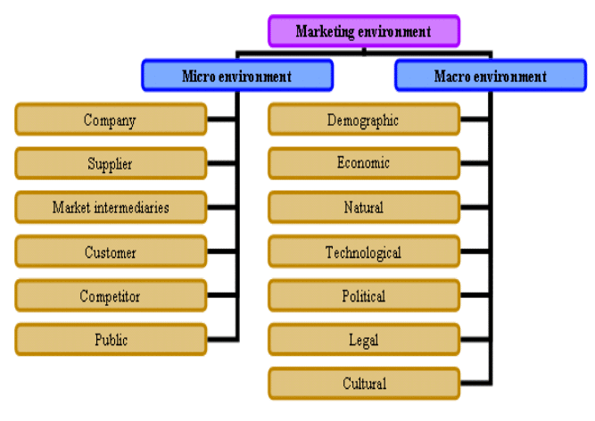 Consumer Buying Process - Consumer Behaviour, Principles of Marketing | Principles of Marketing - B Com