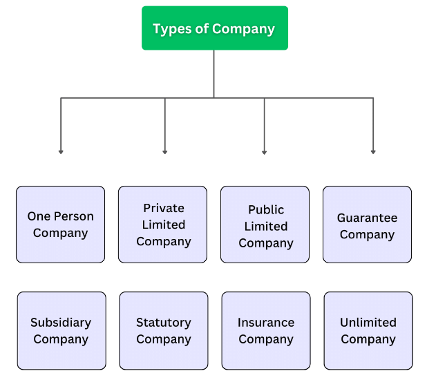 Introduction to Company Law | Company Law - B Com