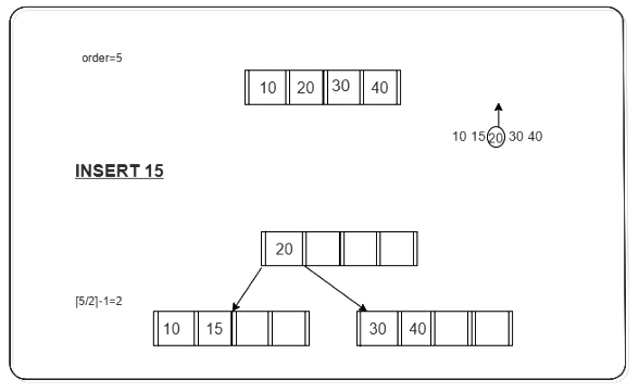 B + Tree | Database Management System (DBMS) - Computer Science Engineering (CSE)