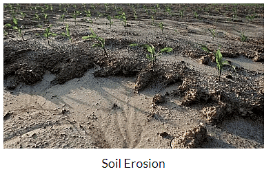 Soil Class 7 Notes Science