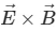 NEET Previous Year Questions (2014-2024): Electromagnetic Waves | Physics Class 12
