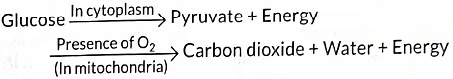 Class 10 Science Chapter 5 Previous Year Questions - Life Processes