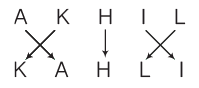 Overview: Analogy | CSAT Preparation - UPSC