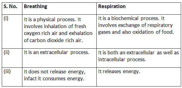 Class 10 Science Chapter 5 Previous Year Questions - Life Processes