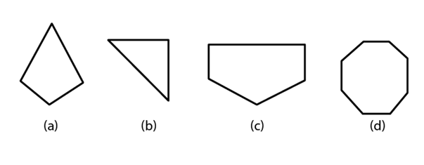 NCERT Solutions for Class 6 Maths Chapter 5 - Understanding Elementary Shapes