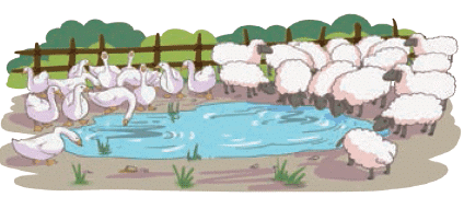 NCERT Solutions for Class 4 Maths Chapter 9 - Equal Groups