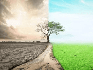 Environment and Ecology: November 2024 UPSC Current Affairs | Current Affairs & Hindu Analysis: Daily, Weekly & Monthly