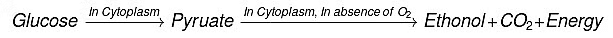 Class 10 Science Chapter 5 Previous Year Questions - Life Processes