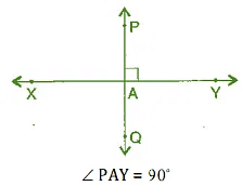 NCERT Solutions for Class 6 Maths Chapter 5 - Understanding Elementary Shapes