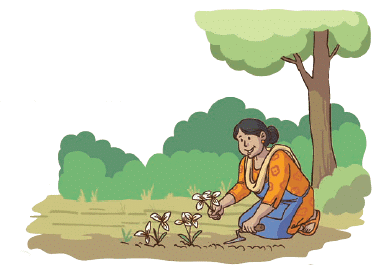 NCERT Solutions for Class 4 Maths Chapter 9 - Equal Groups
