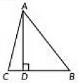Previous Year Questions: Triangles | Mathematics (Maths) Class 10