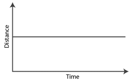 NCERT Solutions for Class 7 Science - Motion and Time