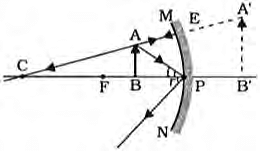 Class 10 Science Chapter 9 Previous Year Questions - Ray Optics - Light : Reflection and Refraction