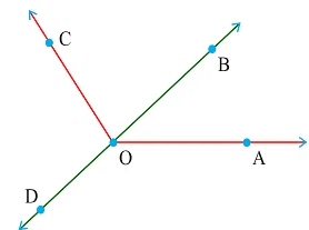 NCERT Solutions for Class 6 Maths Chapter 5 - Understanding Elementary Shapes