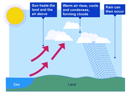 Types & Distribution of Precipitation | Geography Optional for UPSC