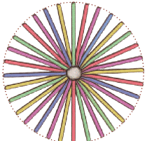 NCERT Solutions for Class 4 Maths Chapter 1 - Shapes Around Us