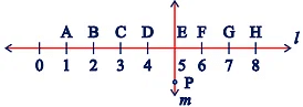 NCERT Solutions for Class 6 Maths Chapter 5 - Understanding Elementary Shapes