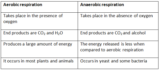 NCERT Solutions for Class 7 Science - Respiration in Organisms