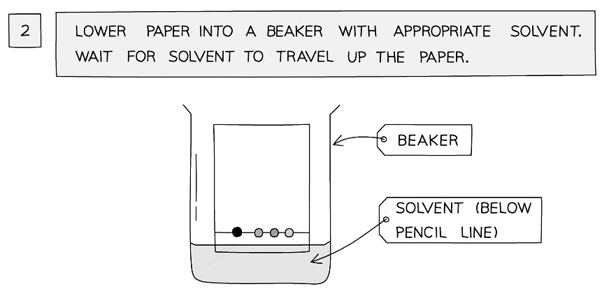 Paper Chromatography