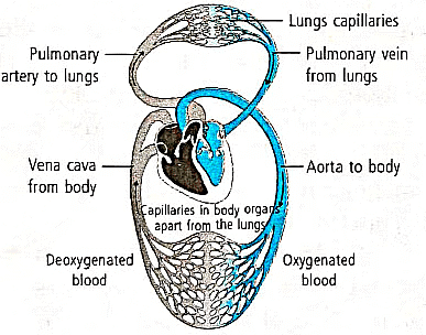 Previous Year Questions 2023