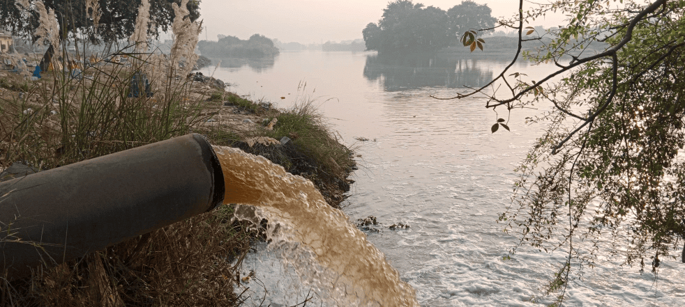 Environment and Ecology: November 2024 UPSC Current Affairs | Current Affairs & Hindu Analysis: Daily, Weekly & Monthly