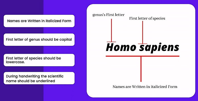 Taxonomy: Identification, Nomenclature & Classification | Biology Class 11 - NEET