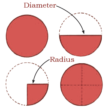 NCERT Solutions for Class 4 Maths Chapter 1 - Shapes Around Us